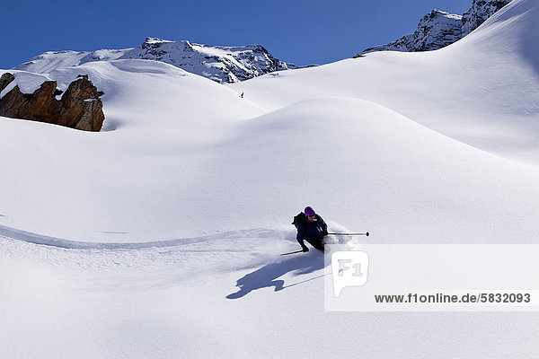 Skier downhill skiing in deep powder snow  Ahornspitze mountain  Zillertal Alps  Zillertal valley  northern Tyrol  Tyrol  Austria  Europe