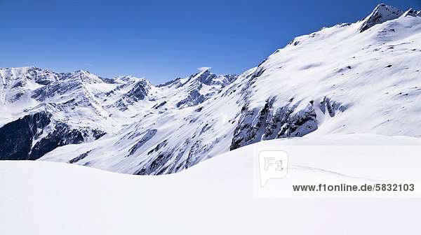 Female skier skiing on Zischgelesspitze mountain  Zischgeles mountain  Stubai Alps  northern Tyrol  Tyrol  Austria  Europe