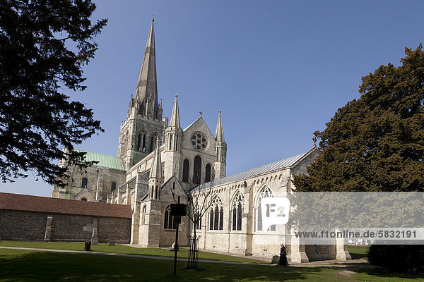 The south west face of Chichester Cathedral  Chichester  West Sussex  England  United Kingdom  Europe