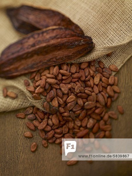 Kakaoschoten und Kakaobohnen