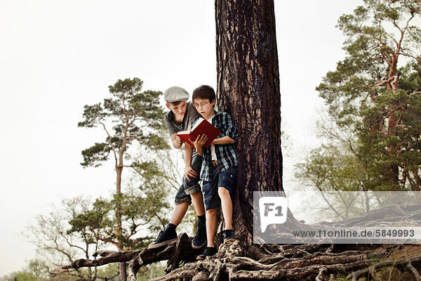Boys reading book by tree trunk