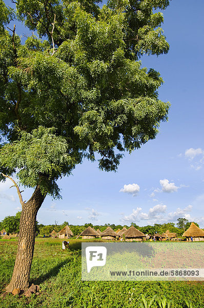 Fongoli Dorf Senegal
