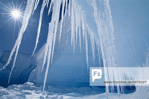 Eiszapfen und Sonne Alta Bay Antarktis