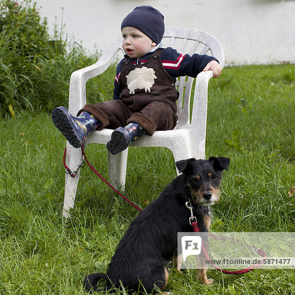Boy  17 months old  sitting on a chair with a terrier tied to it