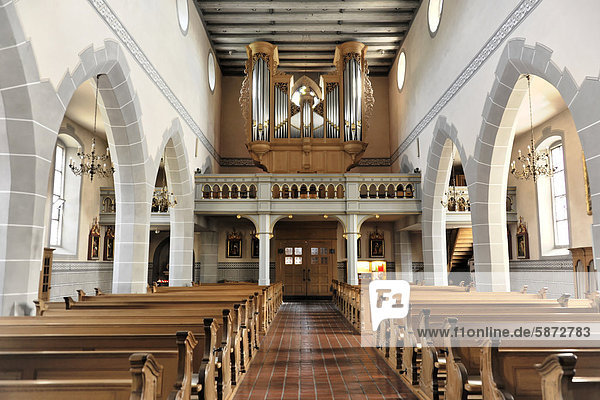Innenraum mit Orgel  Pfarrkirche St. Martin  Staufen im Breisgau  südlicher Schwarzwald  Baden-Württemberg  Deutschland  Europa
