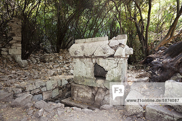 Sarcophagus  ancient city of Olympos  Lycia  Turkey  Asia Minor
