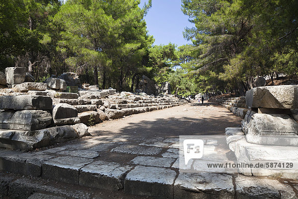 Hauptstraße der antiken Stadt Phaselis  Lykien  Türkei  Kleinasien