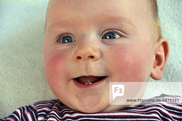 Baby six months portrait