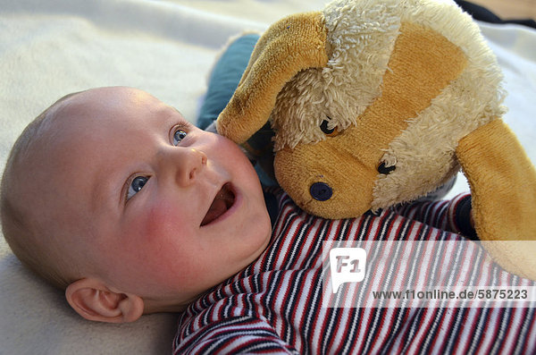 Baby  six months  with cuddly toy