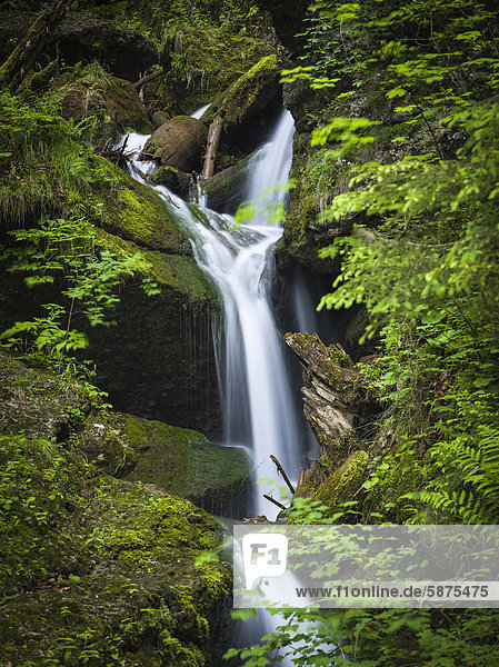 Hinanger Wasserfall  Oberallgäu  Schwaben  Bayern  Deutschland  Europa
