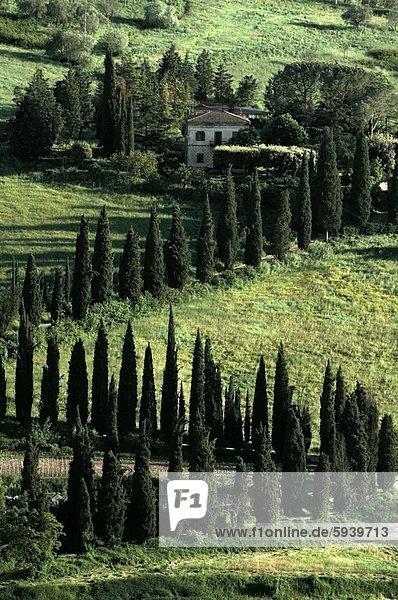hoch oben Baum Landschaft Ansicht Flachwinkelansicht Winkel Italien Orvieto Umbrien