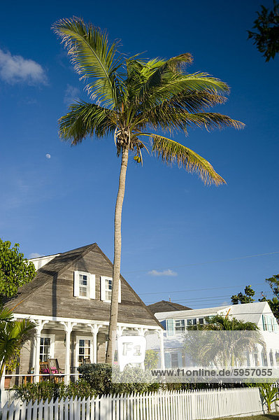 Lifestyle Wohnhaus Baum über Wachstum Stadt Karibik Westindische Inseln Mittelamerika Palme Harbour Island