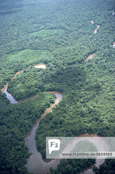 Luftbild von der gewundenen Belait River  Brunei  Insel Borneo  Asien