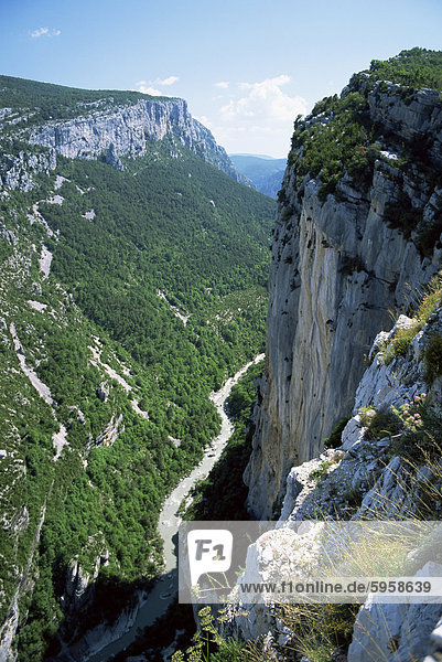 Fluss Verdon in der Grand Canyon von Verdon  Alpes-de-Haute-Provence  Provence  Frankreich  Europa