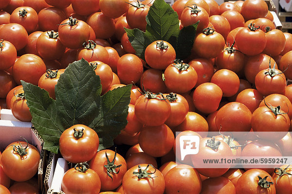 Tomatoes on market stall  Kingston-upon-thames  Surrey  England  United Kingdom  Europe