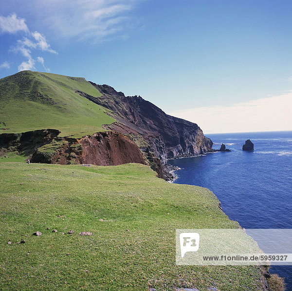 Gras gekrönt Klippen entlang der Nordwestküste zwischen der Siedlung von Edinburgh und Kartoffel-Patches  auf Tristan Da Cunha  Mid Atlantic