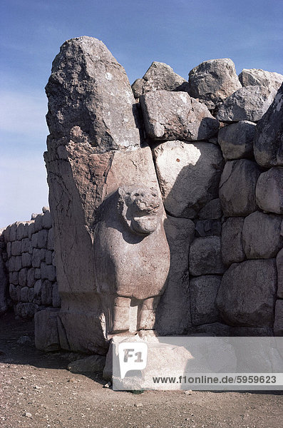 Hittite bleibt  Löwentor  Bogaz Koy  Anatolien  Türkei  Kleinasien  Eurasien