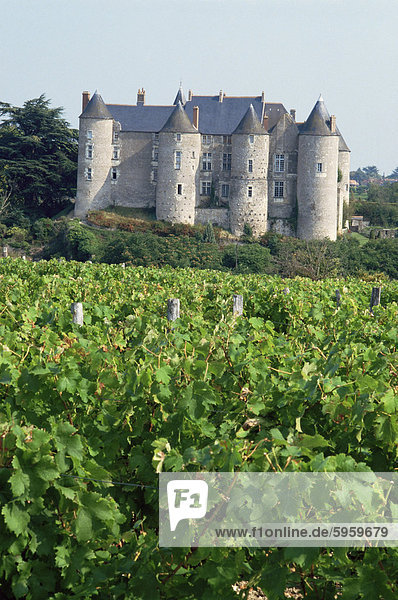 Schloss von Luynes  Indre et Loire  Loire Centre  Loiretal  Frankreich  Europa