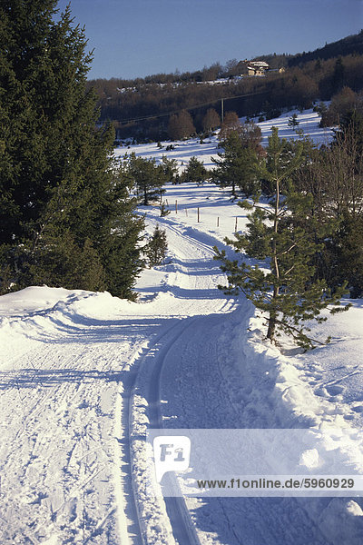 Ski Spuren in einer verschneiten Landschaft in der Nähe von Vassillieux  im Nationalpark bei Vercors  Dauphine  Rhone-Alpes  Frankreich  Europa