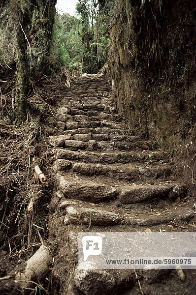 Schritte auf dem Inka Trail  Peru  Südamerika