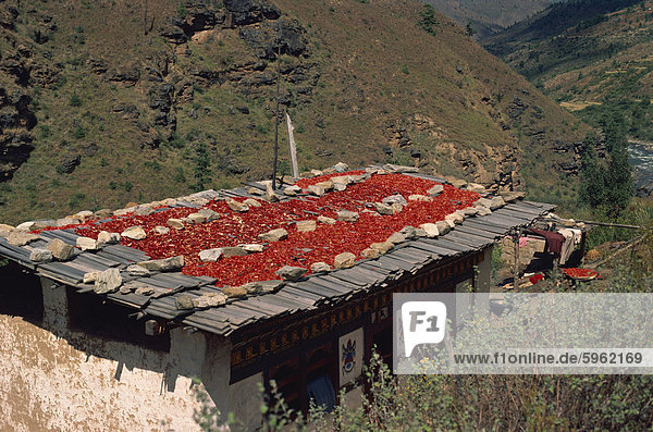 Chilis Trocknen auf Dach  Bhutan  Asien
