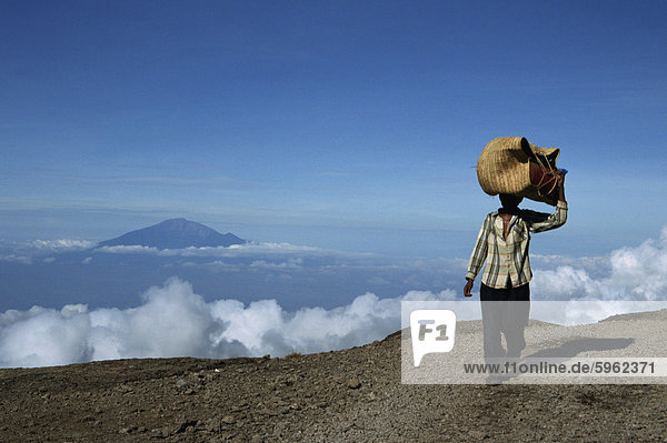 Porter with Mount Meru in background  Kilimanjaro National Park  Tanzania  East Africa  Africa