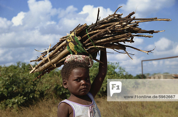 Girl carrying firewood  Mozambique  Africa