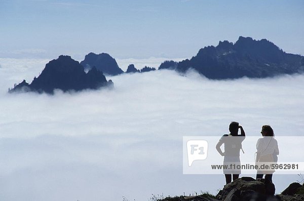 Hikers look over the clouds from Paradise Park on Mount Rainier volcano  highest point in the state  Washington state  United States of America  North America
