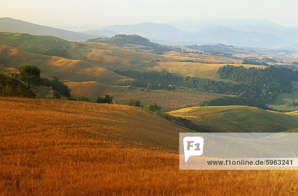 Blick über landwirtschaftliche Landschaft bei Sonnenaufgang  Volterra  Toskana  Italien  Europa