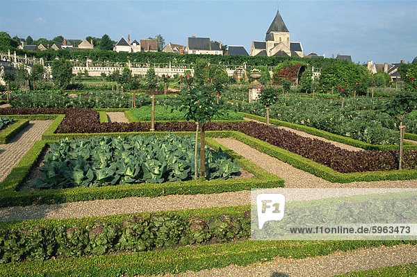 Kräuter- und Gemüsegärten  Schloss Villandry  Centre  Frankreich  Europa