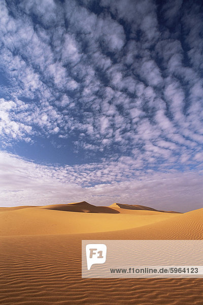 Dünen im Erg Chebbi sand Meer  die Wüste Sahara  in der Nähe von Merzouga  Marokko  Nordafrika  Afrika