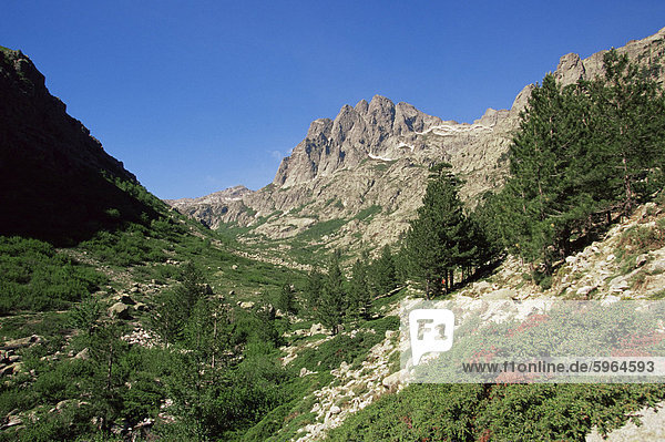 Schluchten De La Restonica  Bergerie de Grottelle  Korsika  Frankreich  Europa