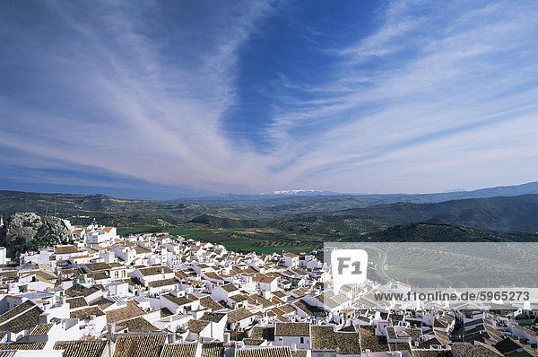Blick über Dorf Dächer zu entfernten schneebedeckten Bergen  Olvera  Cadiz Area  Andalusien  Spanien  Europa