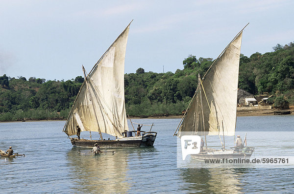 Segelboote  neugierige werden Insel  Madagaskar  Indischer Ozean  Afrika