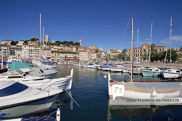 Le Suquet und Hafen  Altstadt  Cannes  Alpes Maritimes  Provence  Cote d ' Azur  Cote d ' Azur  Frankreich  Mediterranean  Europa