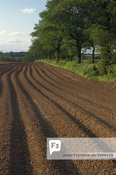 Furrows in a ploughed field near Coleshill in Warwickshire  England  United Kingdom  Europe