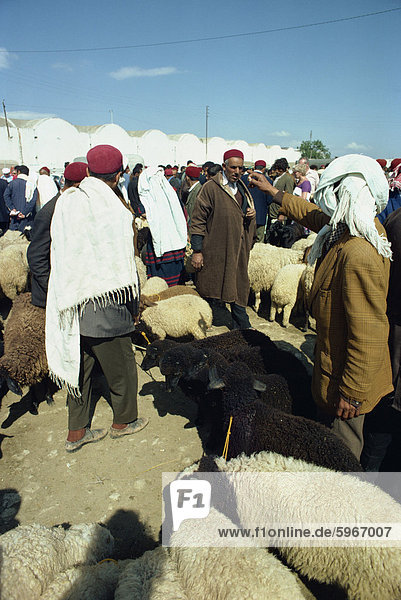 Markt  Nabul  Tunesien  Nordafrika  Afrika