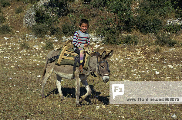 A local boy sitting on a wooden saddle riding a mule in the Vjosa valley in Albania  Europe