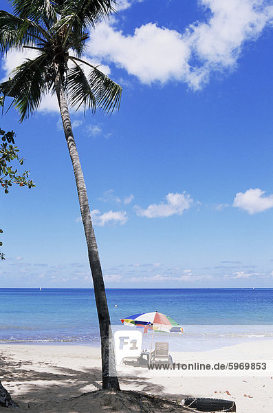 Chac-Strand  in der Nähe von Castries  St. Lucia  Windward-Inseln  West Indies  Caribbean  Central America