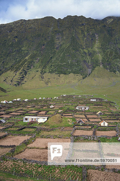 Stone walls divide potato patches  two miles south of settlement  on Tristan da Cunha  Mid Atlantic