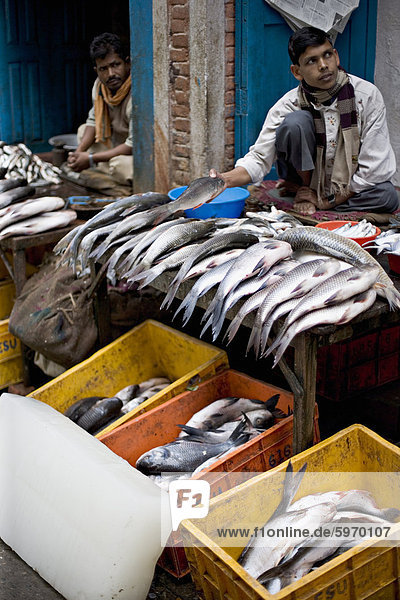 Männer verkaufen Süßwasser Fisch am frühen Morgen in einem Straßenmarkt  Kathmandu  Nepal  Asien