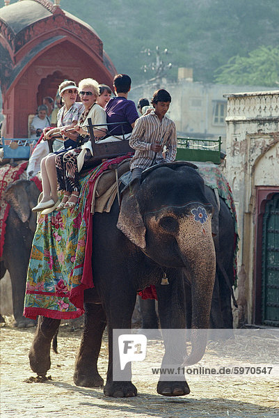 Painted elephant carrying tourists  Amber Palace  Jaipur  Rajasthan  India  Asia