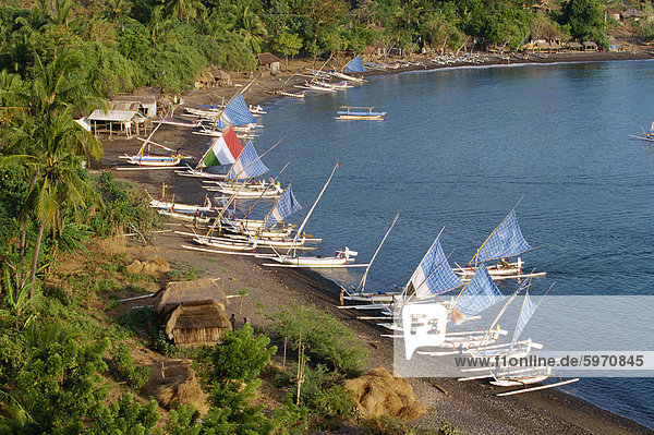 Ausleger Fischerboote säumen den Strand bei einem Weiler an der Ostküste von Bali  auf der Straße Lombok  Indonesien  Südostasien  Asien