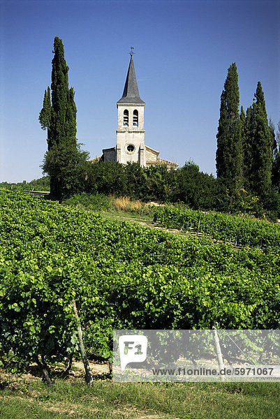Weinberge und Kirche  in der Nähe von Castelnau Monrater  Lot  Midi-Pyrenees  Frankreich  Europa