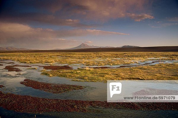 Landschaft im Isluga Bereich der Atacamawüste  Chile  Südamerika