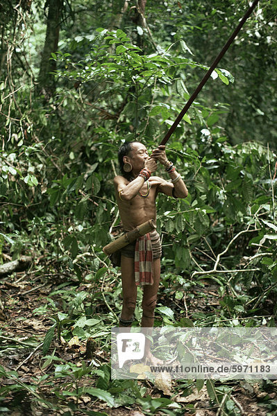 Mitglied des Stammes der Penan mit Blasrohr  Mulu Expedition  Sarawak  Insel Borneo  Malaysia  Südostasien  Asien