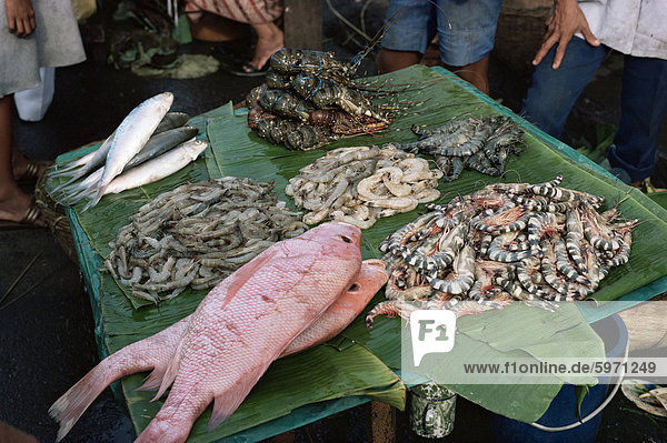 Fischmarkt  Jakarta  Java  Indonesien  Südostasien  Asien