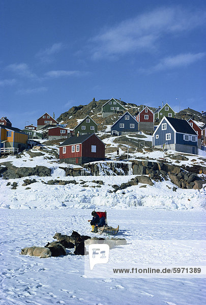 Huskies und Schlitten im Schnee  mit Häusern jenseits auf Angmagssalik in Grönland  Polarregionen