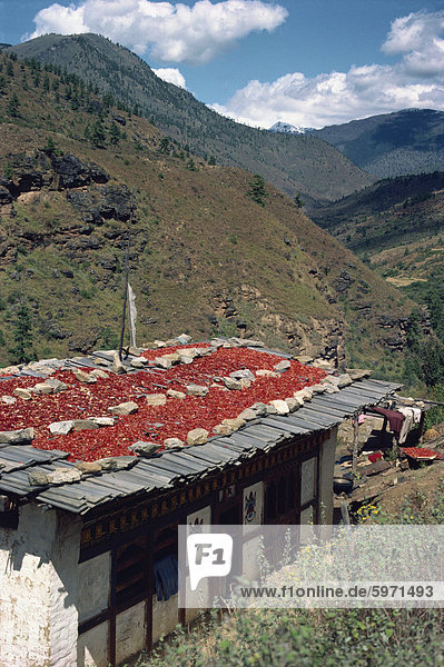 Dach Peperoni Wohnhaus trocknen Hügel Asien Bhutan