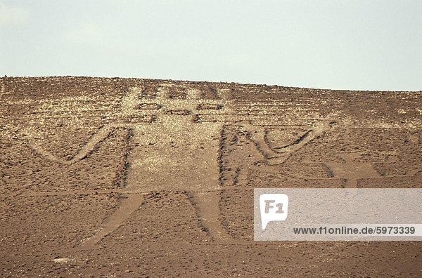 Riese der Atacama  Petroglyph  Chile  Südamerika